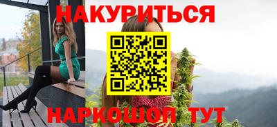шишки Будённовск