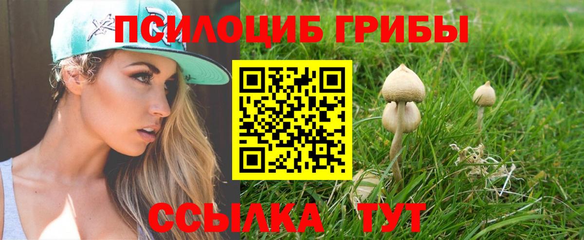 Галлюциногенные грибы MAGIC MUSHROOMS  Псилоцибиновые грибы мицелий  Вход с VPN  сколько стоит  Тутаев 